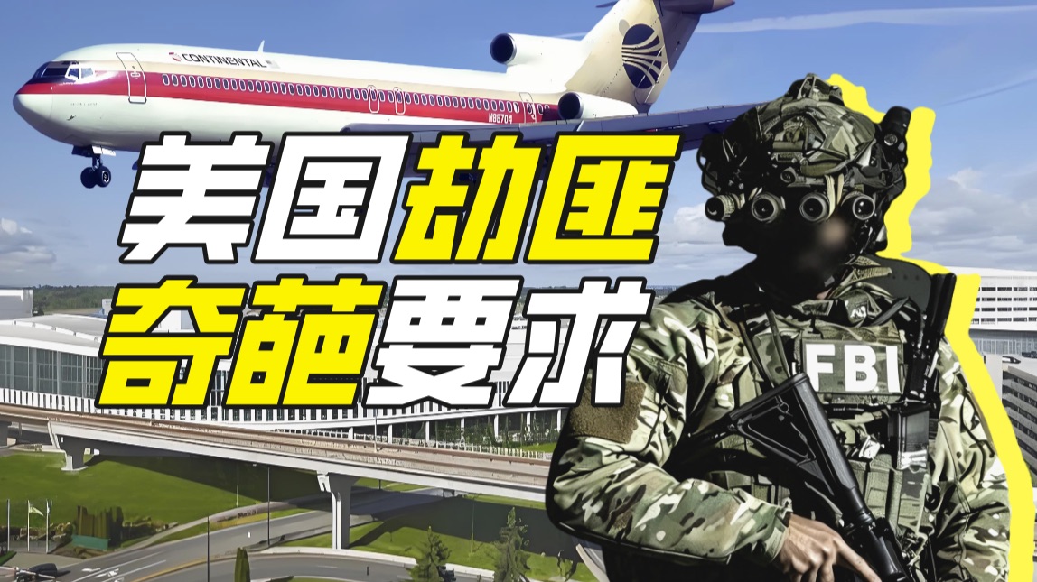什么人能为了三个汉堡劫机?【硬核狠人89】