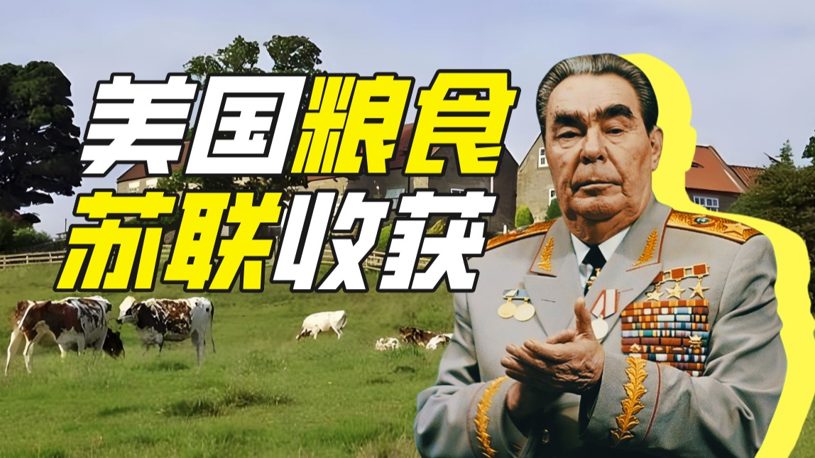 糟糕!我的粮食被勋宗抢走了!【神奇组织54】